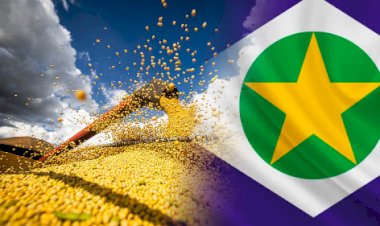 Egito sobe da 22ª para a 2ª posição entre os principais destinos das exportações de Mato Grosso em dois anos