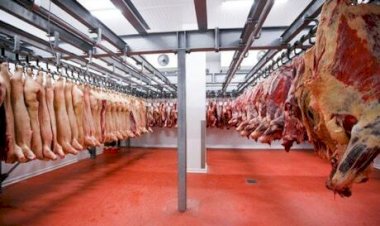 Valor da carne suína segue em queda e eleva competitividade