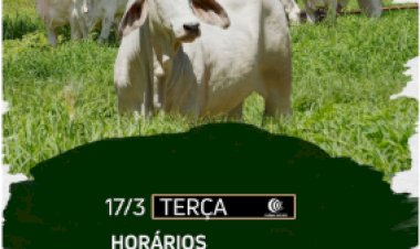 DE OLHO NA FAZENDA TAB G4