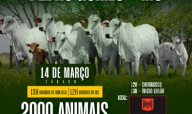 1º LEILÃO CRIADORES PEDRO GOMES/MS