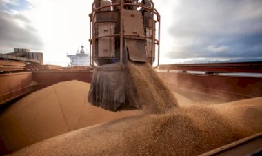 Cargill suspende exportação de soja do Brasil para a China após mudança em inspeção
