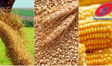 Veja aqui Cotações mista do Agro