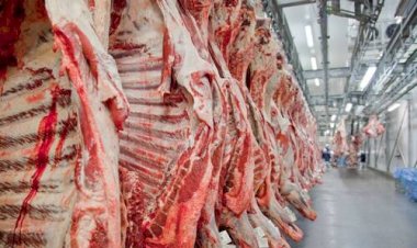 Chile amplia em 52% as compras de carne bovina de Mato Grosso
