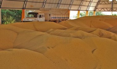 Falta de armazenagem reduz poder de venda do produtor