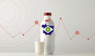 Conseleite/MT projeta valor de referência do leite pago em março/26