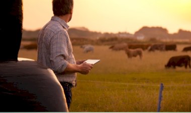 O novo fator que está redefinindo o campo