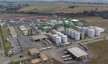 Grupo Potencial anuncia R$ 6 bilhões em agroenergia no PR