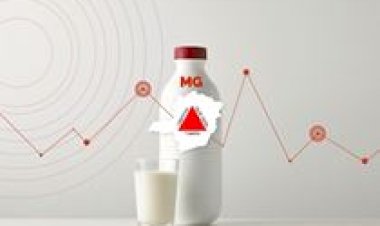 Conseleite/MG divulga projeção do valor de referência do leite a ser pago em abril/26