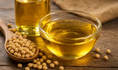 Demanda por biodiesel eleva preço do óleo de soja