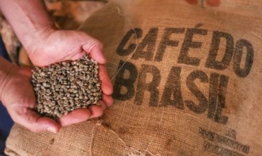 Preço mínimo é atualizado para café, laranja, sisal e trigo na safra 2026/2027