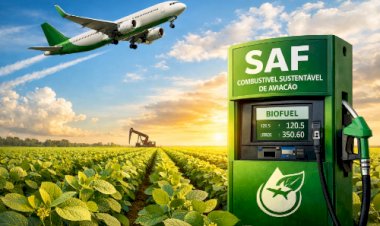 SAF: O combustível do futuro brota entre as fileiras de soja do Mato Grosso