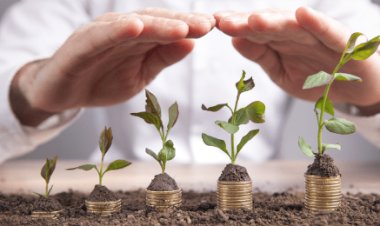 CNA alerta para risco de restrição ao crédito rural com uso de dados de desmatamento