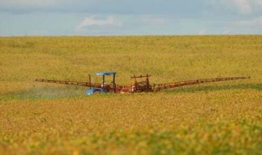 O que Ozempic tem a ver com a soja?