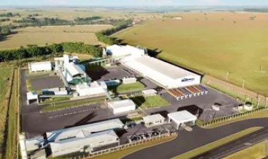 Boa Safra leva produção de sementes de milho para a Nigéria