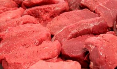 Carne bovina: exportações do Brasil em março/26 marcam recorde para o mês, diz Cepea