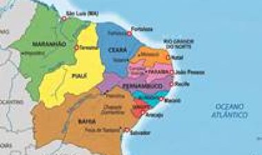 Cadeia leiteira do Nordeste ganha força com investimentos e disputa espaço com gigantes nacionais