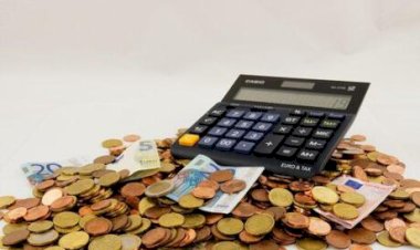 Fundo para pecuaristas garante resposta rápida a emergências sanitárias em São Paulo