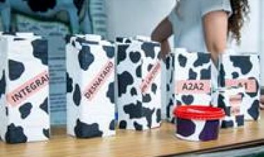 Paraná: Vitrine da UEL na ExpoLondrina traz inovações em reprodução e qualidade do leite