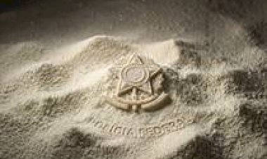 SC: Operação Consumo Seguro desarticula esquema com leite em pó argentino