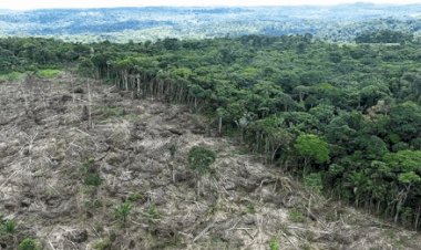 Famato orienta produtores sobre impacto do Prodes no crédito rural