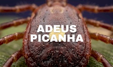 Carrapato que causa alergia a carne já atinge mais de 450 mil pessoas, entenda a sindrome de alfa-gal