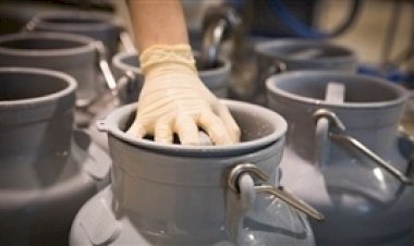 Mudança no ICMS beneficia indústria de laticínios em Mato Grosso