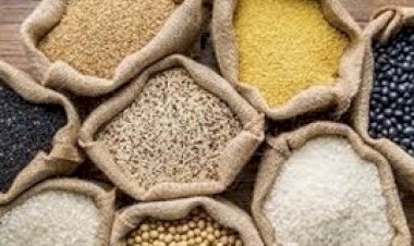 Frete de grãos sobe e eleva custos no agro de Mato Grosso