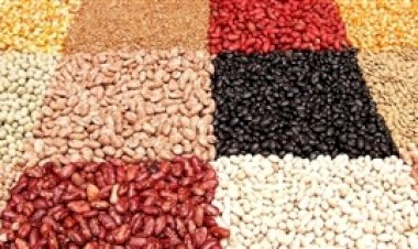 Cotações Agropecuárias