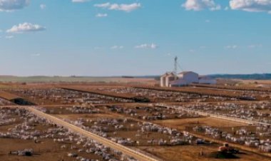 Por unanimidade, STF valida limites à aquisição de terras por estrangeiros