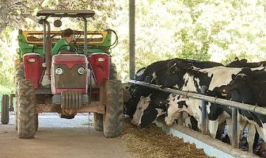 CNJ endurece regras da recuperação judicial no agronegócio e amplia exigências