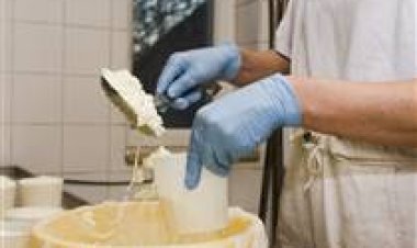 Empreleite defende selos municipais para enfrentar informalidade de queijeiras no RN