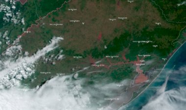 Produtor rural pode ser embargado só por satélite?