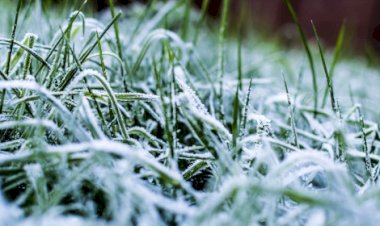 Frio deve avançar sobre áreas agrícolas do Sul