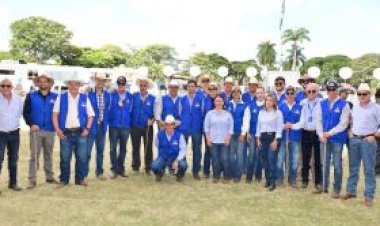 Conheça os Grandes Campeões da 91ª ExpoZebu