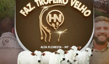 LEILÃO VIRTUAL FAZENDA TROPEIRO VELHO