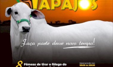 1º LEILÃO SUNSET FAZENDA TAPAJOS