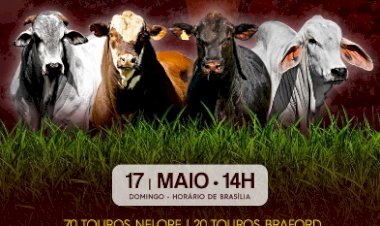 LEILÃO VIRTUAL FAZENDA NOVA
