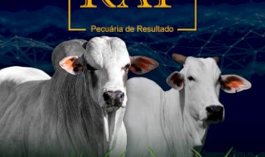 LEILÃO GENÉTICA RAF PECUÁRIA DE RESULTADO