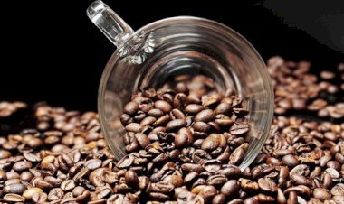 Preços do café seguem em queda