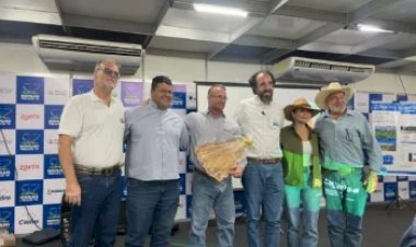 Novilho Precoce Tocantins leva debates estratégicos para a Agrotins 2026