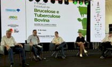 Rio Grande do Sul: fórum aborda brucelose e tuberculose bovina durante a Fenasoja