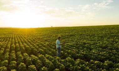Brasil vira referência em biotecnologia agrícola
