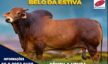 Veja aqui Cotações mista do Agro
