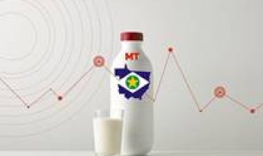 Conseleite/MT divulga aumento de 10,7% no valor do leite entregue em abril a ser pago em maio