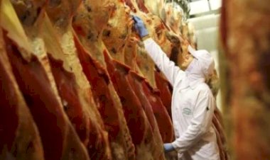 Recorde nas exportações de carne bovina esbarra em preocupação com cota da China