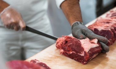 Exportação de carne bovina cresce 15% no ano