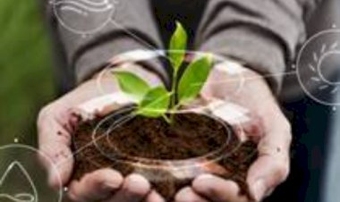 Agricultura regenerativa ganha espaço nas gôndolas do varejo