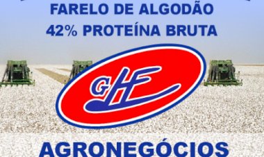 Cotações Agropecuárias