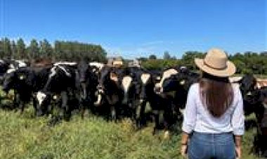 Associação de Girolando lança projeto para impulsionar presença das mulheres na pecuária leiteira