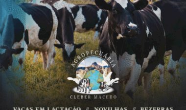 Leilão Virtual Cleber Macedo